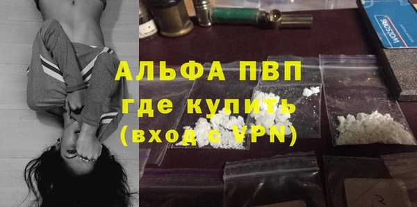 эйфоретик Касимов