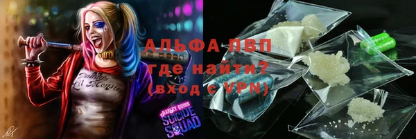 стаф Карталы