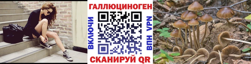 Псилоцибиновые грибы Psilocybe  как найти закладки  Щучье 