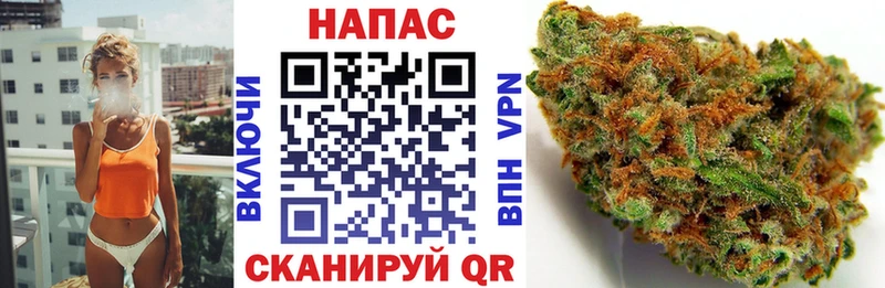 KRAKEN рабочий сайт  Щучье  Бошки Шишки OG Kush 